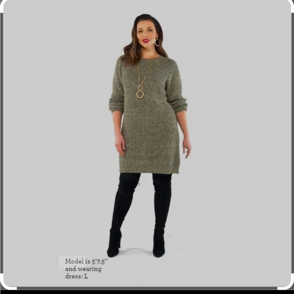 CAbi Sweater Tunic Dress